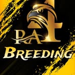Profile Picture of RA Breeding (@RA-Breeding) on Facebook