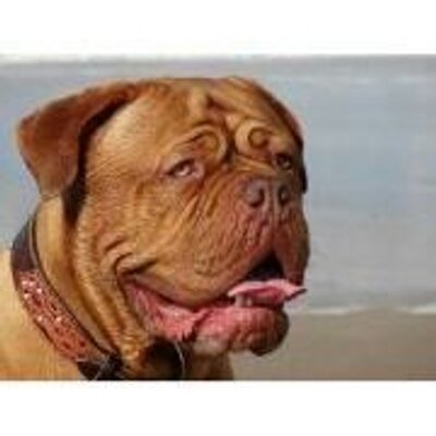 Profile Picture of John Rademaker (@johnrademaker2) on Twitter