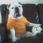 Profile Picture of Cory Hobbs (@cory4vols) on Instagram
