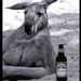 Profile Picture of Matt Omalley (@46hydraulic) on Pinterest