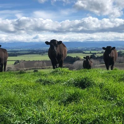 Profile Picture of James Greer (@Jamesgr64801361) on Twitter