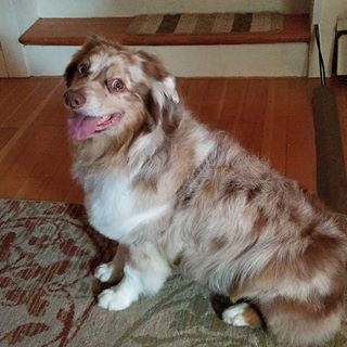 Profile Picture of Brad Gunnell (@schil) on Facebook