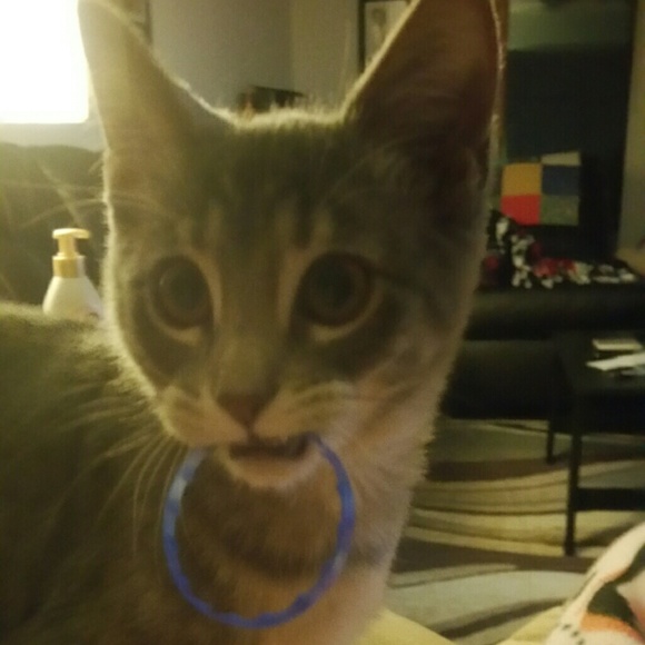 Profile Picture of Sara Debrock (@rara3720) on Poshmark