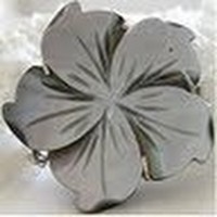 Profile Picture of Arlene Rivera (@arlene-rivera-17) on Quora
