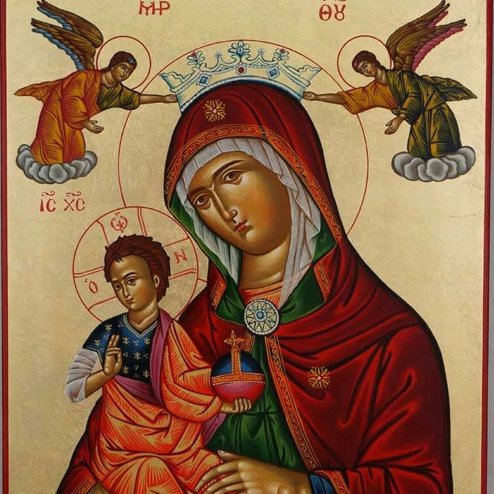 Profile Picture of Matthew Seddon (@matthewseddon562) on Tiktok