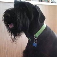 Profile Picture of Colin True (@colin-true) on Quora