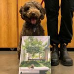 Profile Picture of larry (@larry_weston2020) on Instagram