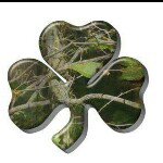 Profile Picture of Dustin McConnell (@dustinmcconnell) on Instagram