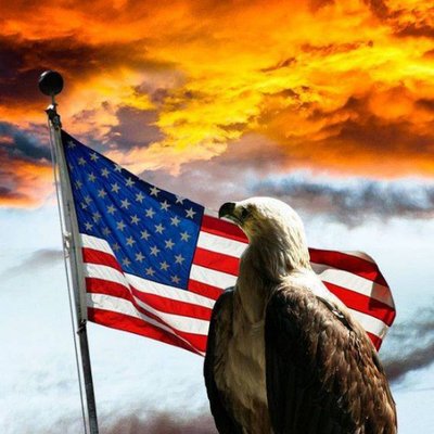 Profile Picture of Louis Ruggino (@TonyLepore5) on Twitter