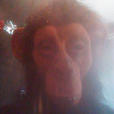 Profile Picture of Sebastian Riedel (@Herr_Riedel) on Twitter