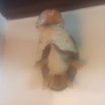 Profile Picture of Michael O'Quinn (@booquinn731) on Instagram