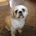 Profile Picture of Chris Donegan (@chris.donegan.562) on Instagram