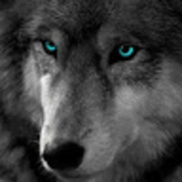 Randy joe Rainey - Poshmark Profile Picture of Randy joe Rainey (@randyjoerainey) on Poshmark