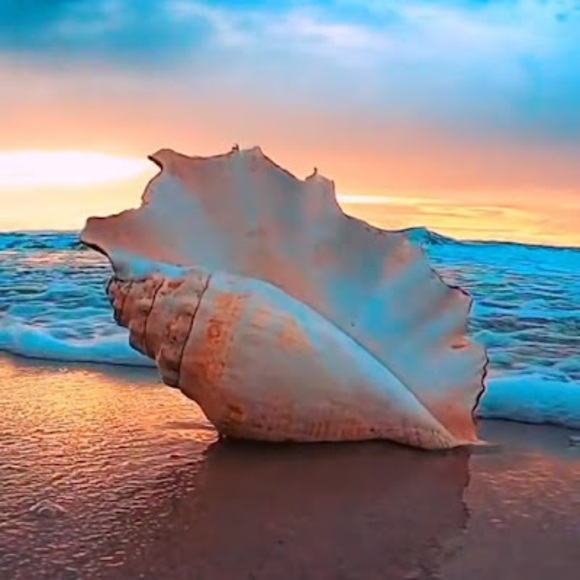 Profile Picture of Adalyn Gnau (@gnauadalyn31) on Poshmark