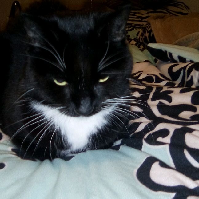 Profile Picture of Paul Hache (@paulhache2) on Tiktok