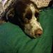 Profile Picture of Rick Crystal (@rcrystal0296) on Pinterest