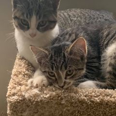 Profile Picture of Andrew Bremner (@andrewbremner0) on Tiktok