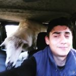 Profile Picture of Antonio Alvaro (@antonioalvaro357) on Instagram