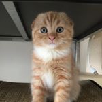 Profile Picture of 廖阿妹@@A-mei  🇹🇼TAIWAN (@liao_hsu_an) on Instagram