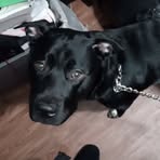 Profile Picture of Robert Armey (@Robert-Armey) on Facebook