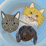 Profile Picture of Gary & Sandy & Penny (@thegnocchipets) on Instagram
