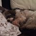Profile Picture of Patrick Burchert (@patrickburchert) on Pinterest