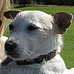 Profile Picture of Luc Trudel (@luc.trudel1) on Flickr