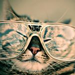 Profile Picture of Tarry-Anne (@tarry510) on Instagram