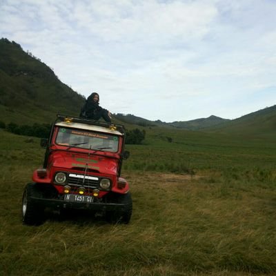 Profile Picture of Dina Holmes (@dina_holmes) on Twitter