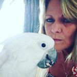 Profile Picture of Wanda Lambert (@wandasnewlife2019) on Instagram