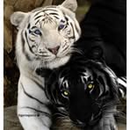 Profile Picture of Karl Bonowski (@karl.bonowski.5) on Facebook