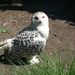 Profile Picture of Tamara Jansen (@tweetie31) on Pinterest