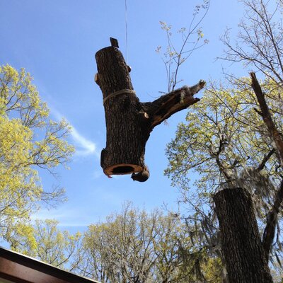 Profile Picture of Mike Reggio (@CustomStump) on Twitter