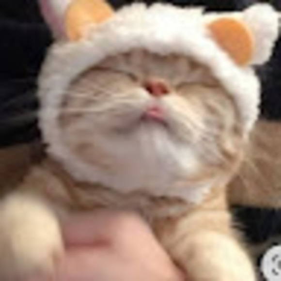 Profile Picture of Natalie Iotov (@bugeater372) on Poshmark