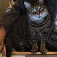 Profile Picture of Carl Updike (@carl-updike) on Quora