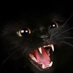 Profile Picture of Bill Scott (@eagle.feather1985) on Instagram