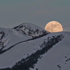 Profile Picture of Eddie Carbone (@eddiecarbonemn) on Pinterest