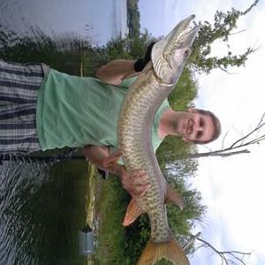 Profile Picture of Brandon Ness (@BrandonNess79) on Twitter