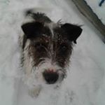 Profile Picture of Dennis Spooner (@spoonerdennis) on Instagram