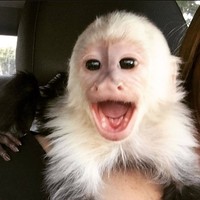 Profile Picture of Daniel Lehner  (@daniel-lehner-17) on Quora