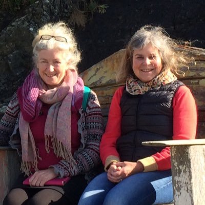 Profile Picture of Dr. Sarah Chave, Dr.Alison Harper (@deepmaterialism) on Twitter