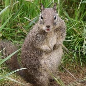 Profile Picture of Justin Robillard (@jupstin) on Myspace