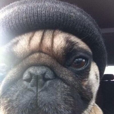 Profile Picture of Rodriguez Vasquez (@RodriguezYoBoy) on Twitter