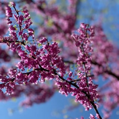 Profile Picture of VickySoSticky (@VickySoSticky1) on Twitter