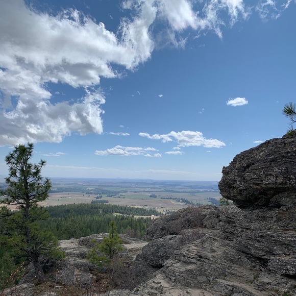 Profile Picture of Emma Van gemert (@emmacole1) on Poshmark