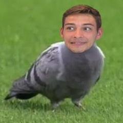 Profile Picture of Pete Acquaviva (@PDAcquaviva) on Twitter