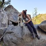 Profile Picture of Katie Foster 🌻 (@katie_a_foster) on Instagram