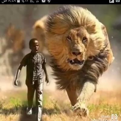 Profile Picture of Awad Bob (@AwadBob4) on Twitter