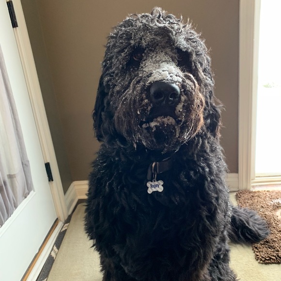 Profile Picture of Christina Zaski (@sammutcms) on Poshmark