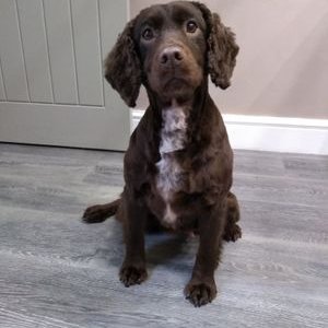 Profile Picture of Claire Orr (@ClaireOrr16) on Twitter